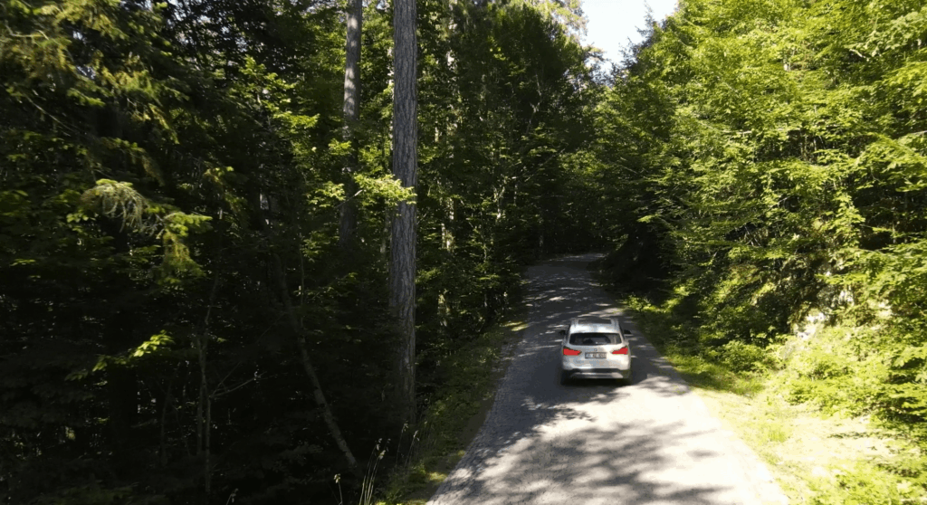 car driving through forest